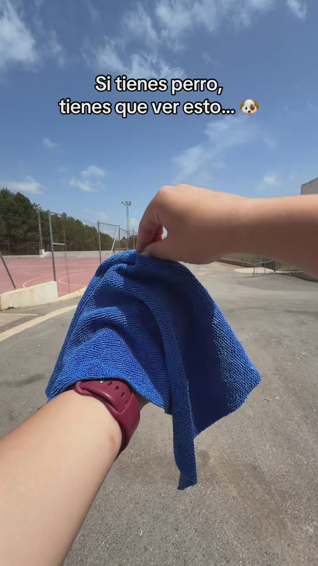 Cargar video: 